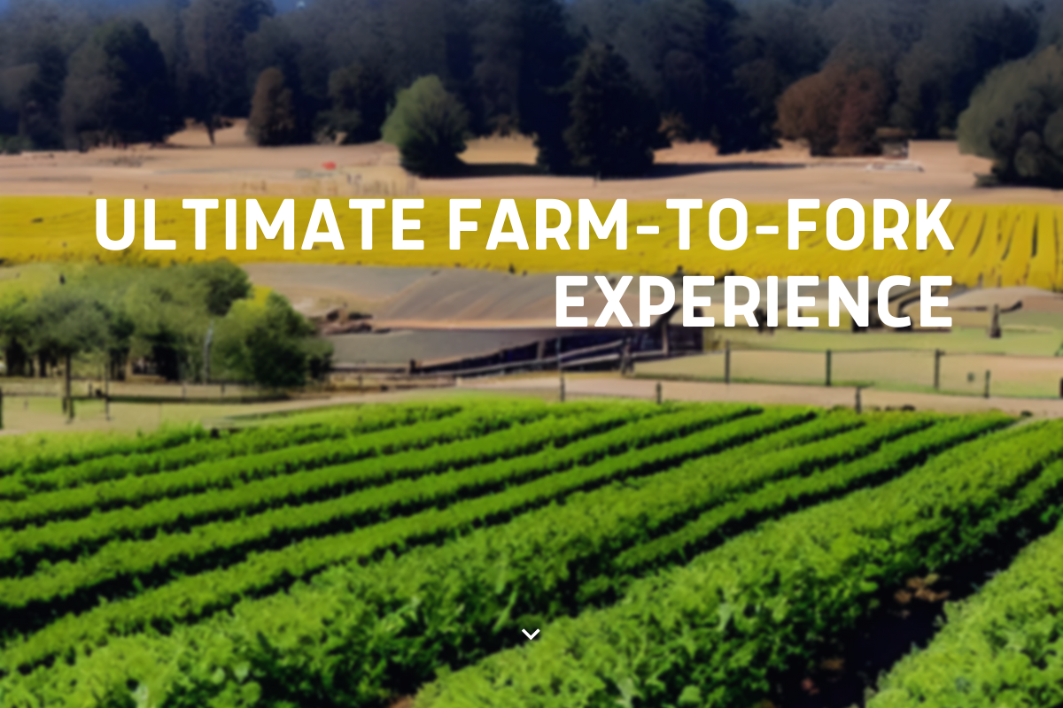 Family Farms in Auburn, California FarmtoFork Experience