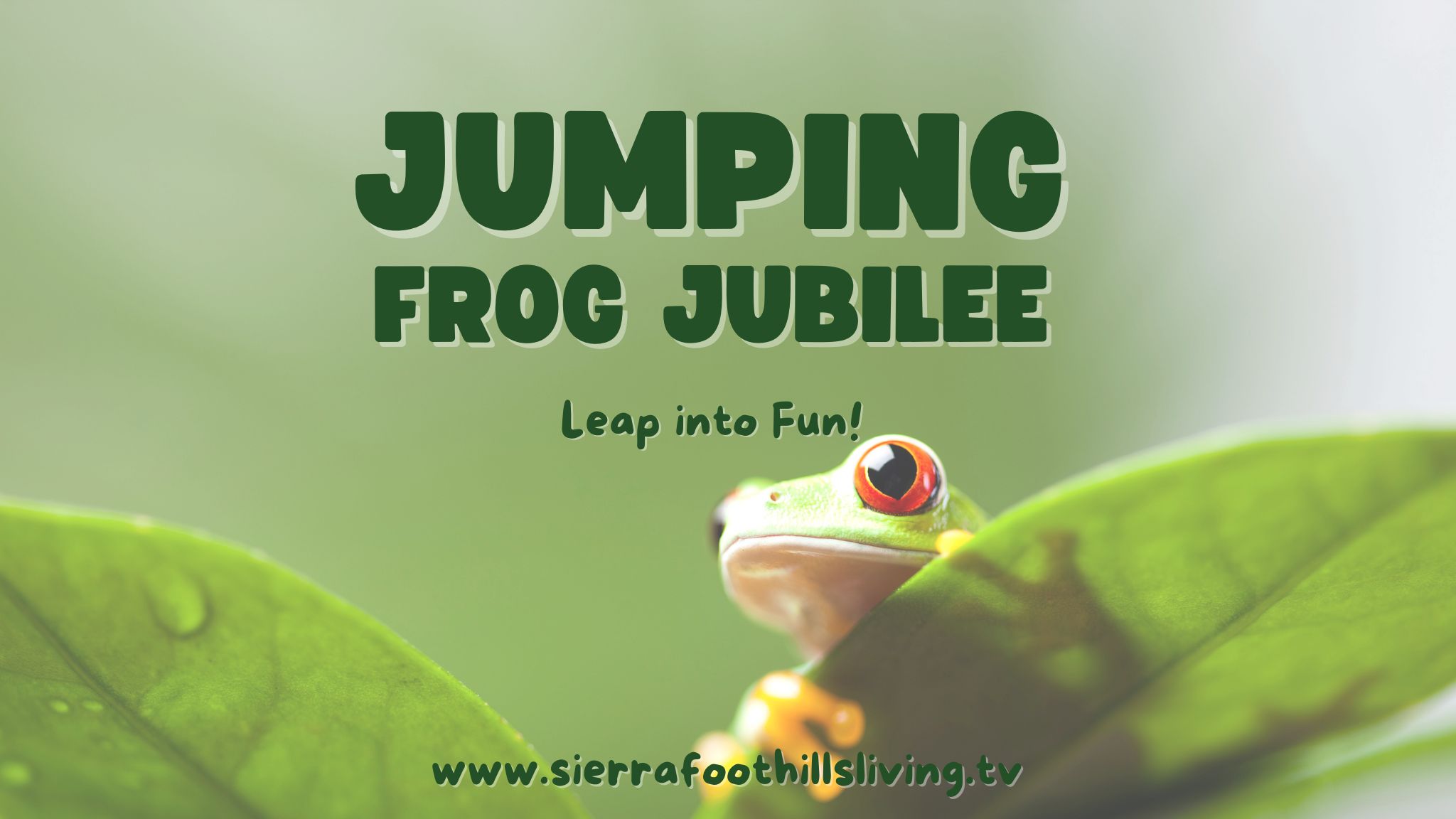 the Calaveras County Fair & Jumping Frog Jubilee
