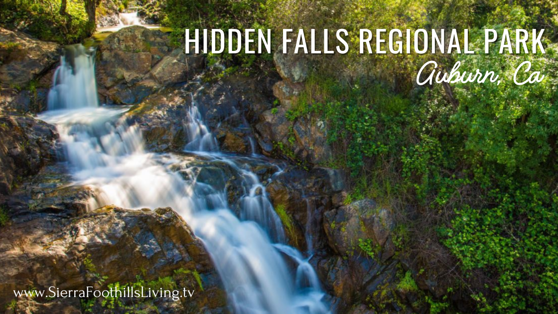 Hidden Falls Regional Park: Unveiling Auburn's Hidden Gem